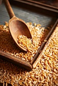 Khorasan Wheat with a Wooden Spoon