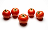 Fünf Tomaten auf weißem Untergrund