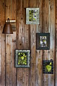 Small framed photographs of birch leaves on wooden wall