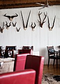 Tables, chairs with red upholstery and wooden chairs in front of animal horns on white wooden wall in restaurant