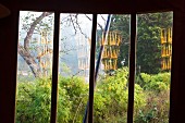 Blick durch Fenster in tropischen Garten