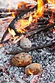 Potatoes baking on an open fire