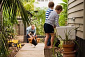 Two boys on stool in front of sink and chickens in kitchen garden of residential house