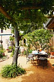 Seating area in courtyard amongst shady trees