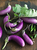 Organic Hydroponic Eggplants