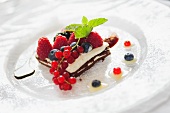 Pan die spagna al cioccolato farcito (chocolate gateau with cream filling and fresh berries)