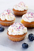 Blueberry cupcakes with icing and colourful sugar sprinkles