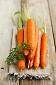 Fresh carrots on linen cloth