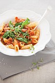 Penne with salsiccia, tomato sauce and basil