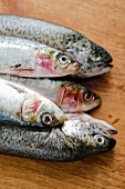 Fresh trout and sardines