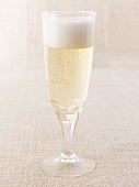 A glass of sparkling wine