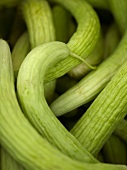 Armenian Cucumbers; Close Up