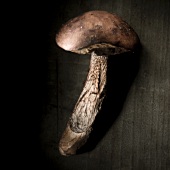 Red-capped mushroom against a black background
