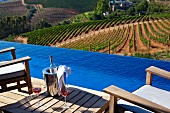 Blue infinity pool with view of managed vineyards