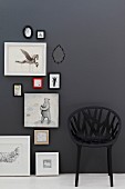 Black, mesh-like plastic chair against black wall next to framed pictures of animals