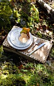 Waldpilz mit Herbstlaub in Schale auf einem mit Ziernägeln versehenen Holzhocker in besonntem Waldmoos