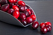 Cranberries on a shovel (close-up)