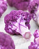 Florets of purple cauliflower (Brassica oleracea var. botrytis), close-up