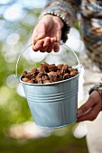 Woman holding bucket of beechnuts