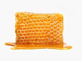 A honeycomb in a pool of honey