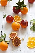 Oranges and blood oranges with leaves