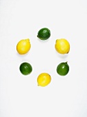 A circle of limes and lemons
