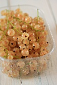 White currants in a plastic punnnet