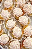 Mini Vanilla Frosted Cupcakes in Paper Liners