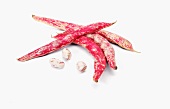 Red bean pods on a white background