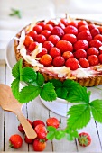 A fresh strawberry tart