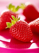 Erdbeeren auf pinkfarbenem Teller