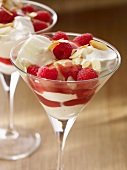 Vanilla ice cream with cream, raspberries and raspberry sauce