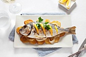 Grilled gilt-head bream with oranges on top of potato slices