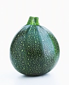 A round courgette