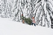 Young men carrying fir tree in snow