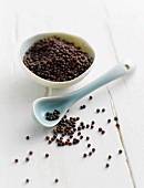 Black sesame seeds in a small dish and on a spoon