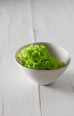 Lollo biondo lettuce in a white bowl