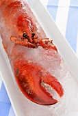 Frozen lobster