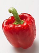A red pepper with drops of water