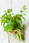 A bunch of sweet leaf (stevia)