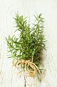 A bunch of rosemary