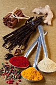 Assorted spices, both whole spices and spoons full of ground spices
