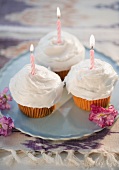 Cupcakes with burning birthday candles, high angle view
