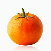 Orange with tomato stem
