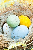 Speckled chocolate eggs in a Easter nest