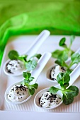 Goat cheese cream with black cumin and lamb's lettuce