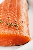 Fresh salmon fillet with thyme