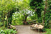 Vintage garden bench with cushions on wooden terrace surrounded by dense vegetation