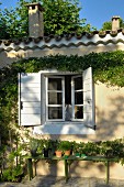 Sunlit, climber-covered house facade and green wooden bench under open window with white shutters