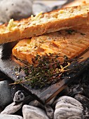 Salmon barbecued on cedar wood with thyme and garlic bread